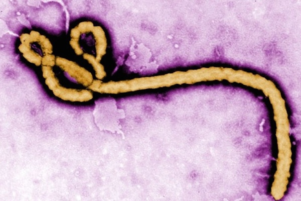 Nigeria confirms 2 more Ebola cases