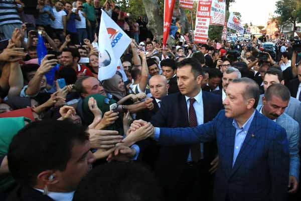Erdogan's victory heralds strong presidency for Turkey